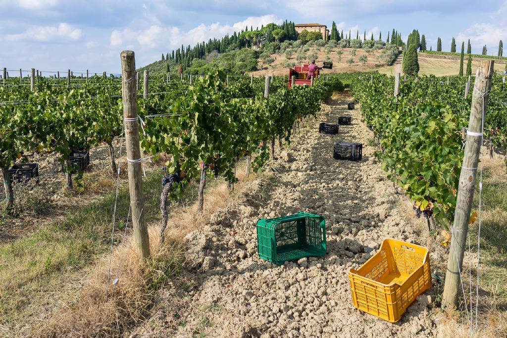 Argiano Dimore Wine Relais Exteriér fotografie