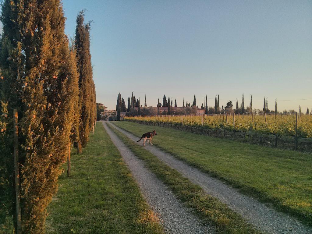 Argiano Dimore Wine Relais Exteriér fotografie